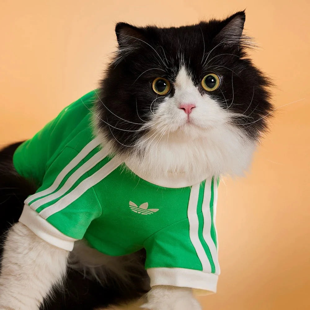 Adidas Originals Pet T-Shirt