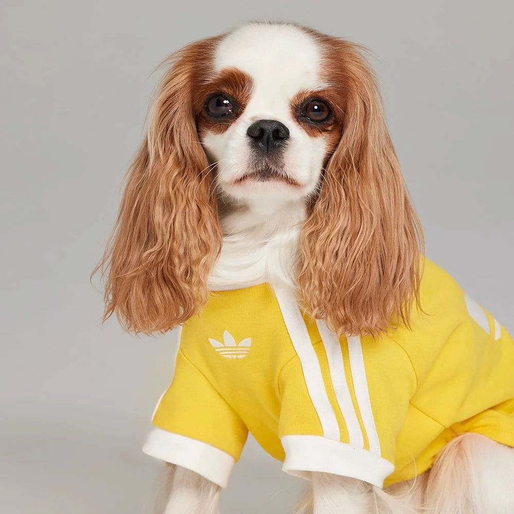 Adidas Originals Pet T-Shirt