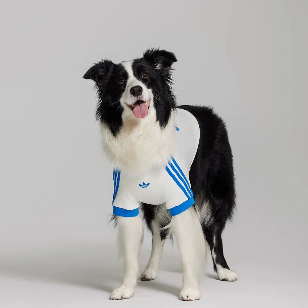 Adidas Originals Pet T-Shirt
