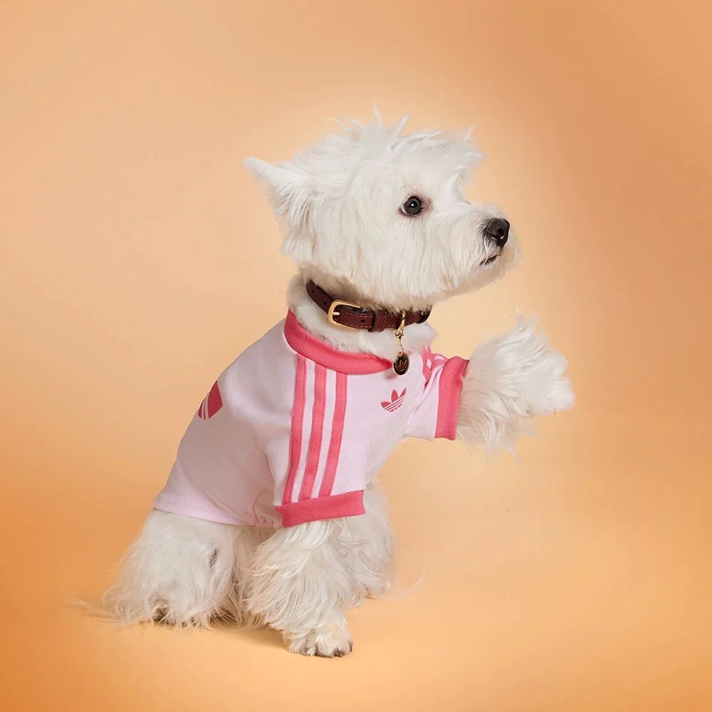 Adidas Originals Pet T-Shirt