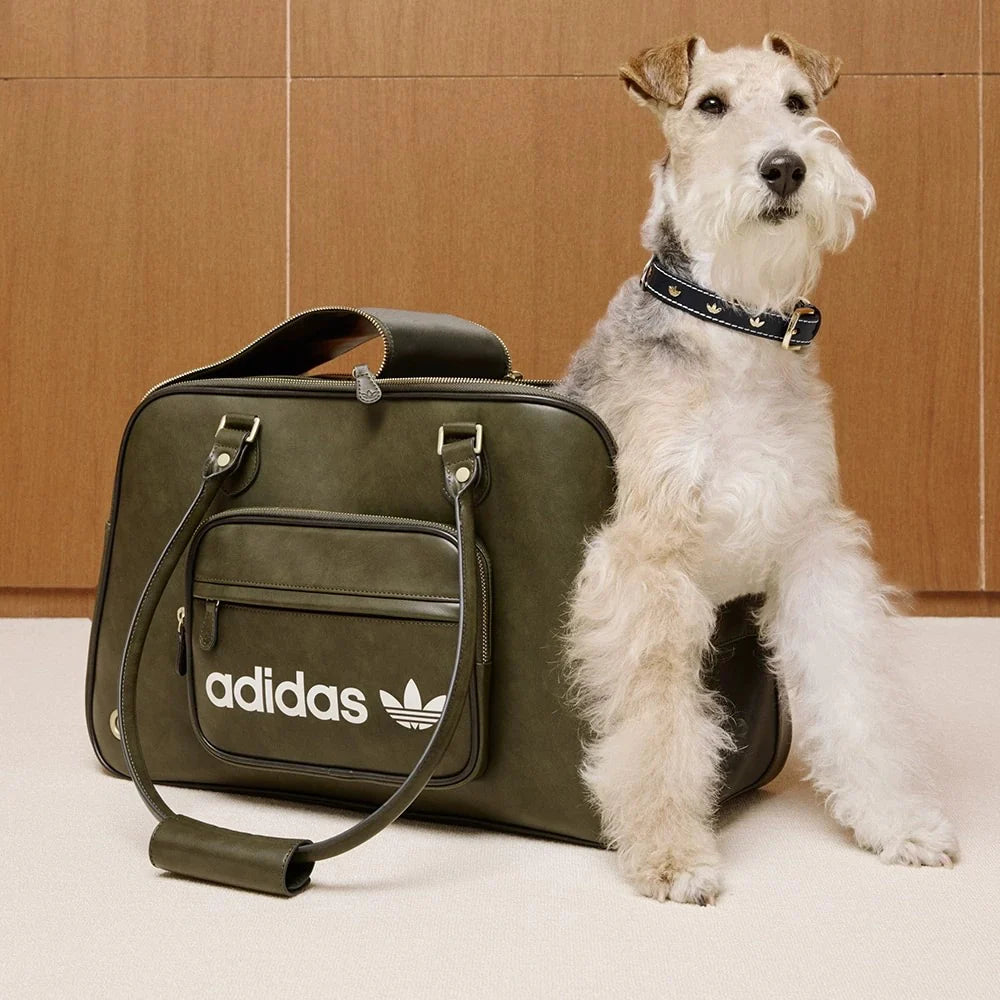 Adidas Originals Pet Carrier in Khaki
