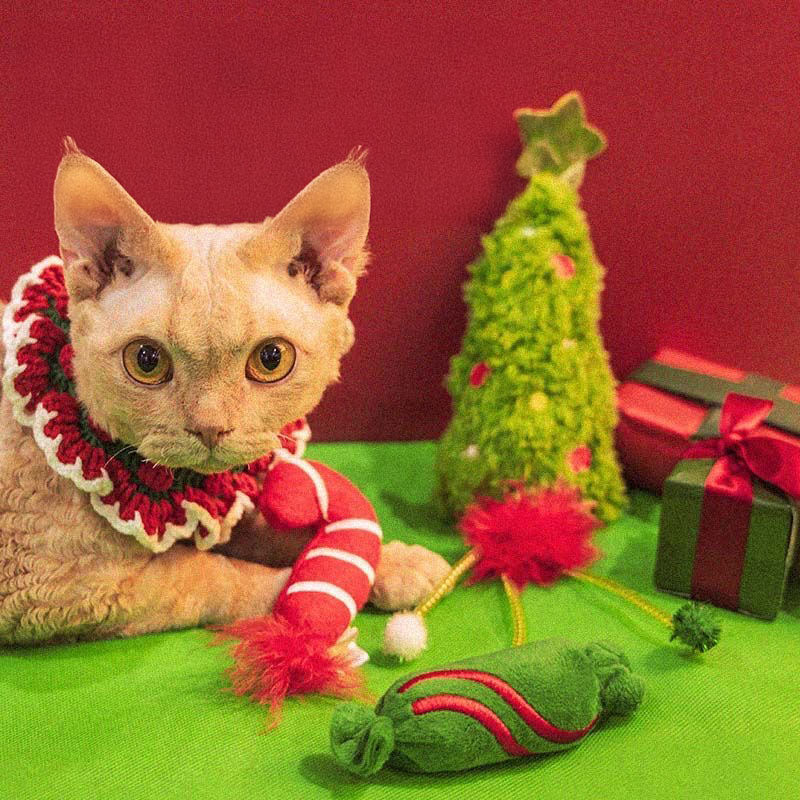 Candy & Candy Cane Christmas Cat Toy (2 Pack)