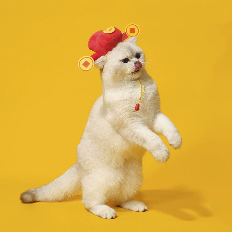 Prosperity Pet Headwear