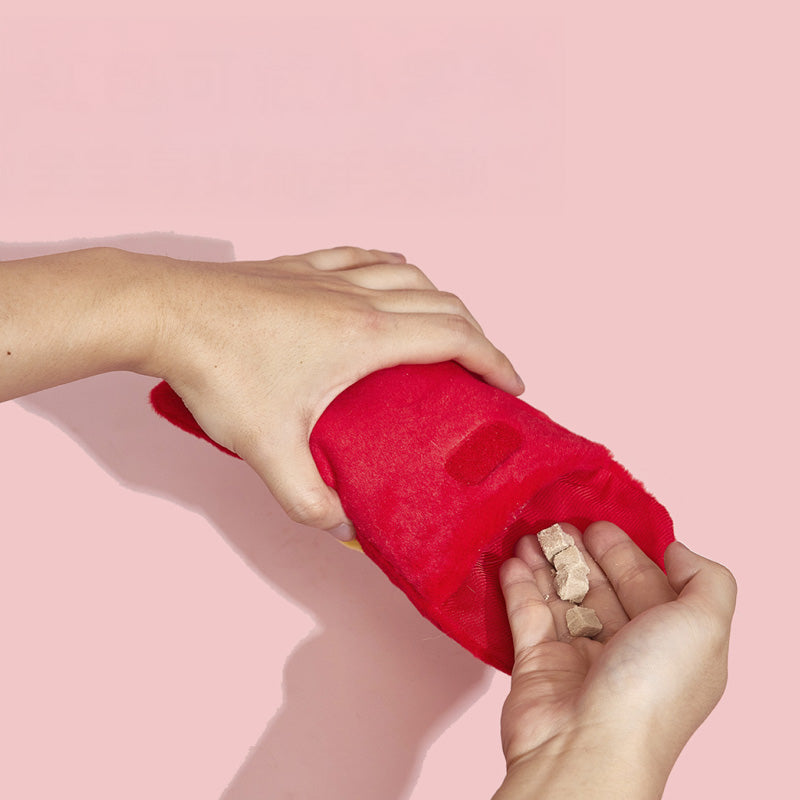 Red Packet Nosework Sling Pouch Toy
