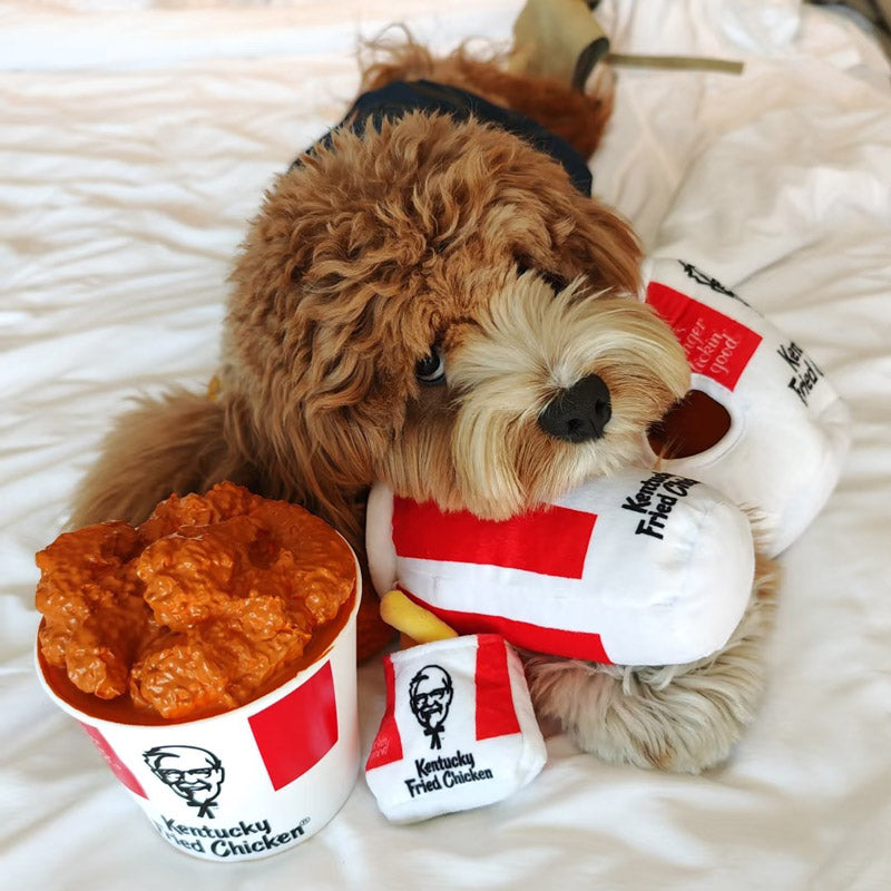 KFC Feast Nosework Plush and Latex Dog Toy | CreatureLand.