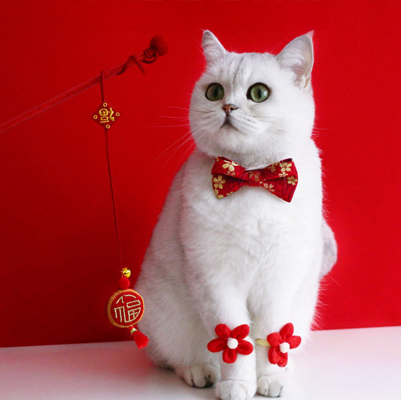 Prosperity Cat Teaser