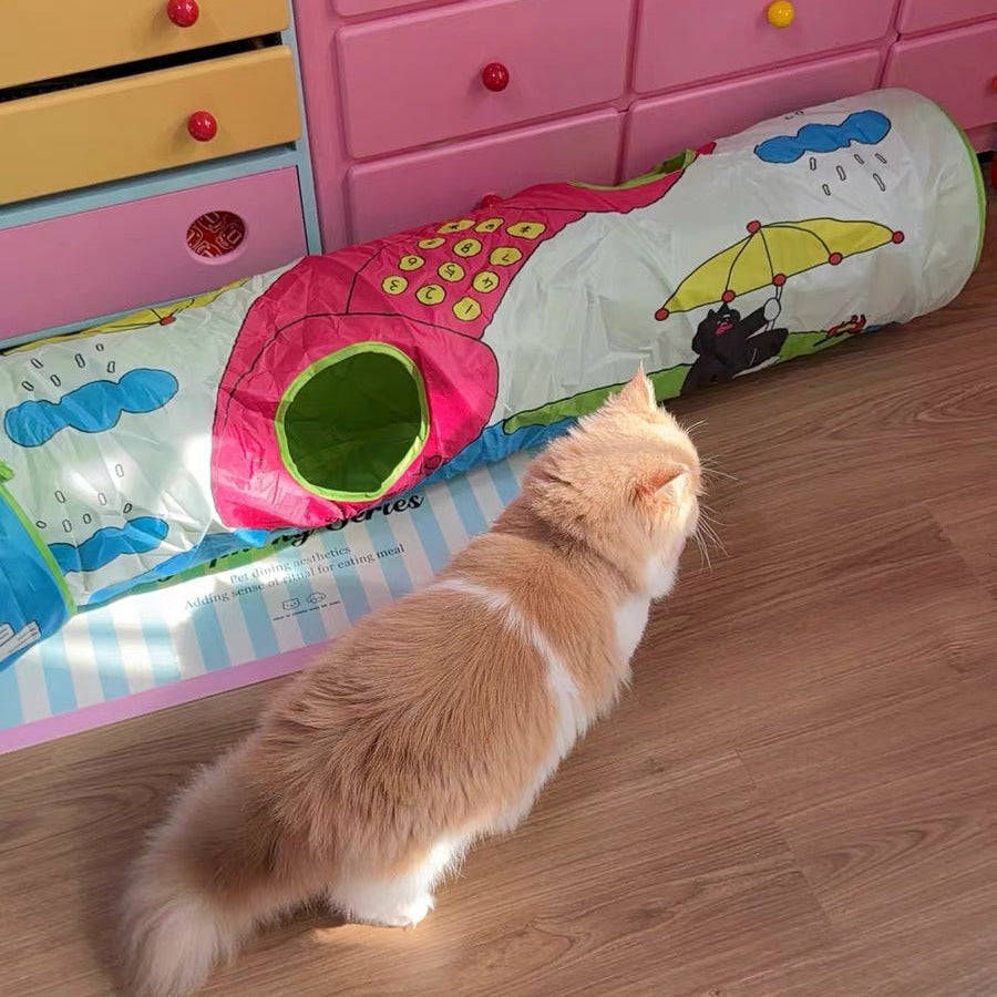 Peek-a-Play Illustrated Cat Tunnel  (4 Designs)