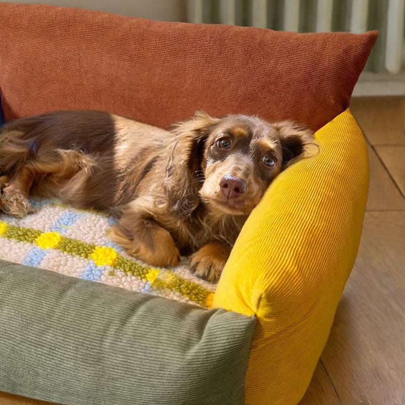 Colourblock Lounge Pet Bed