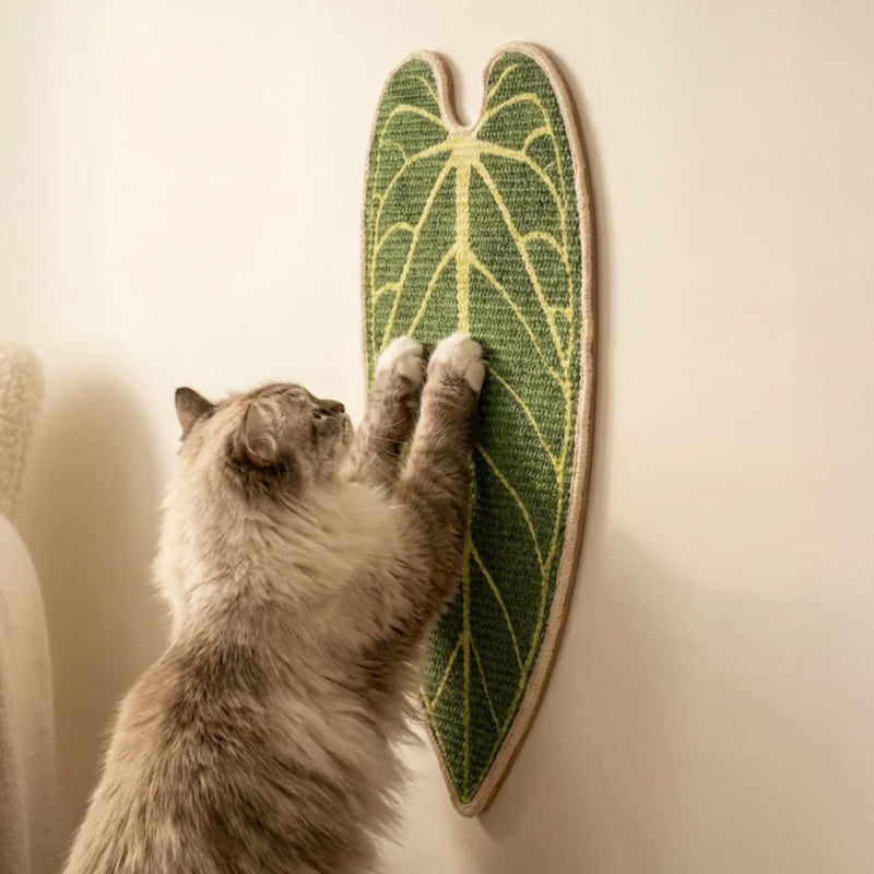 Alocasia Leaf Cat Scratcher (2 Designs)