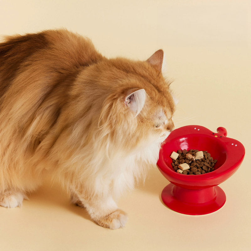 Apple Paradise Elevated Pet Bowl