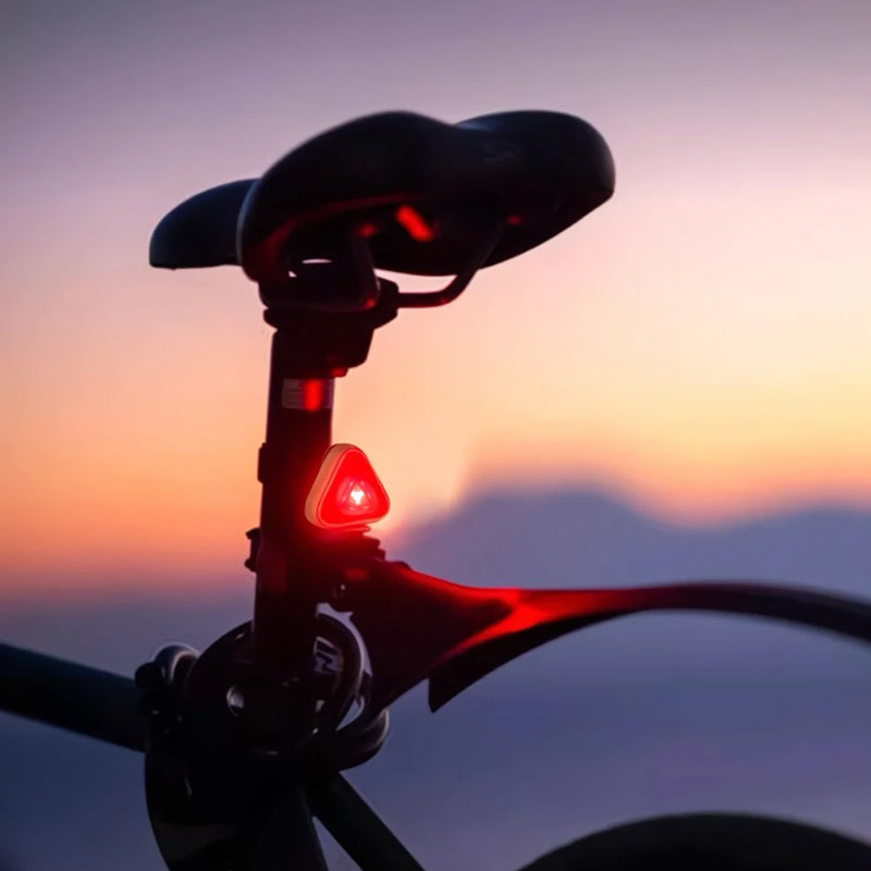 LED Pet Safety Walking Light