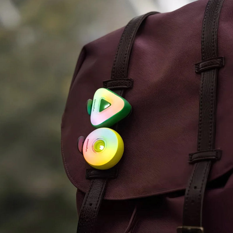 LED Pet Safety Walking Light