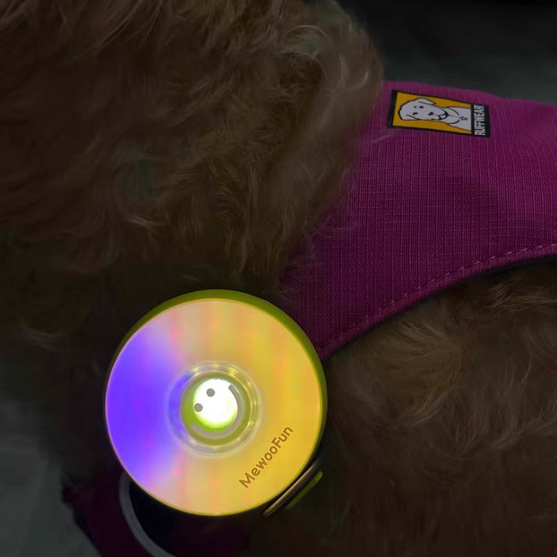 LED Pet Safety Walking Light