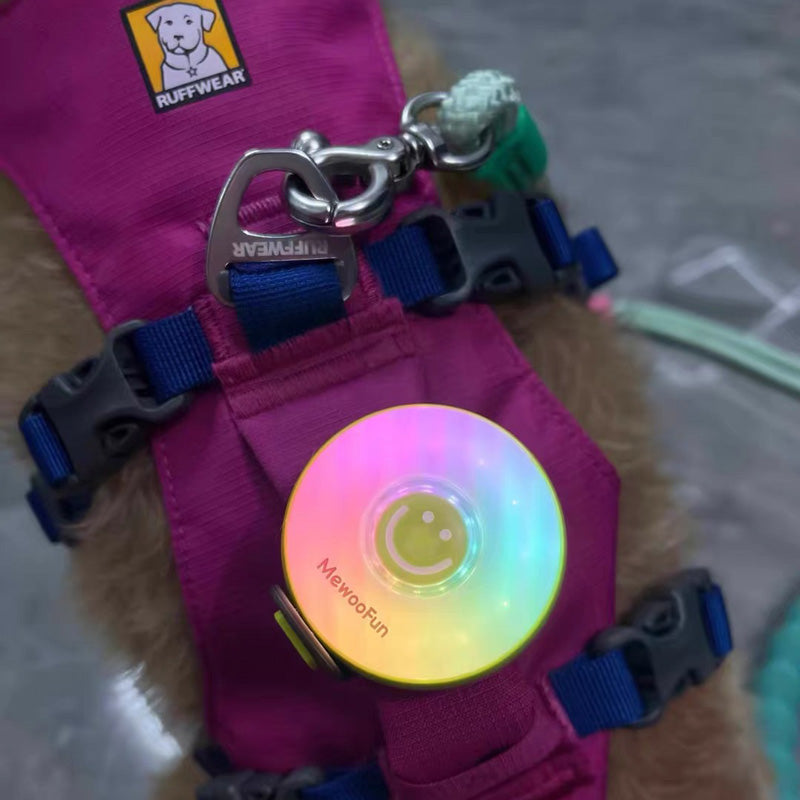 LED Pet Safety Walking Light