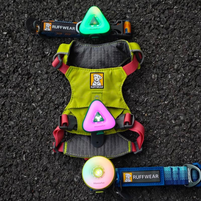 LED Pet Safety Walking Light