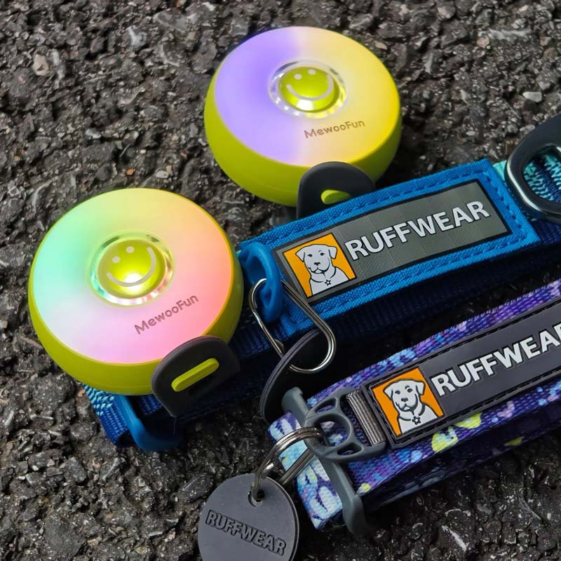 LED Pet Safety Walking Light