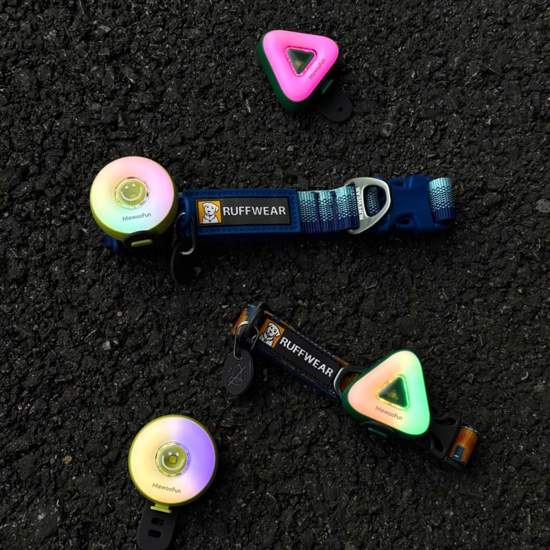 LED Pet Safety Walking Light