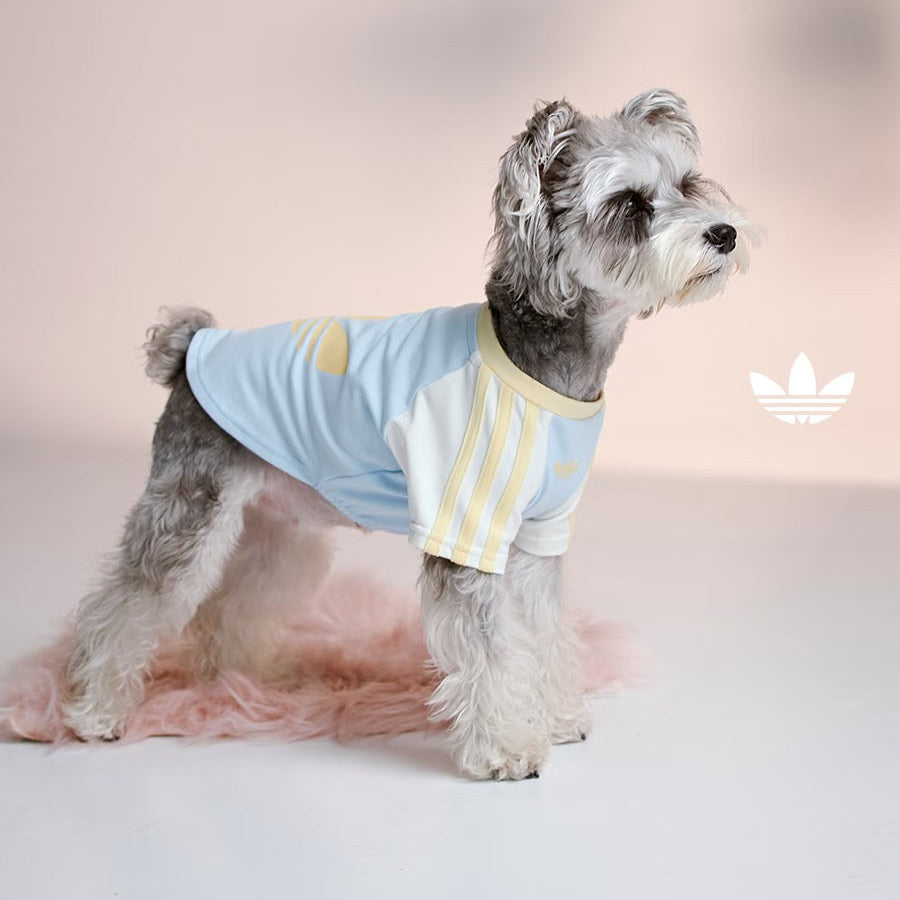 Adidas Raglan Sleeve Pet Tee (Blue)