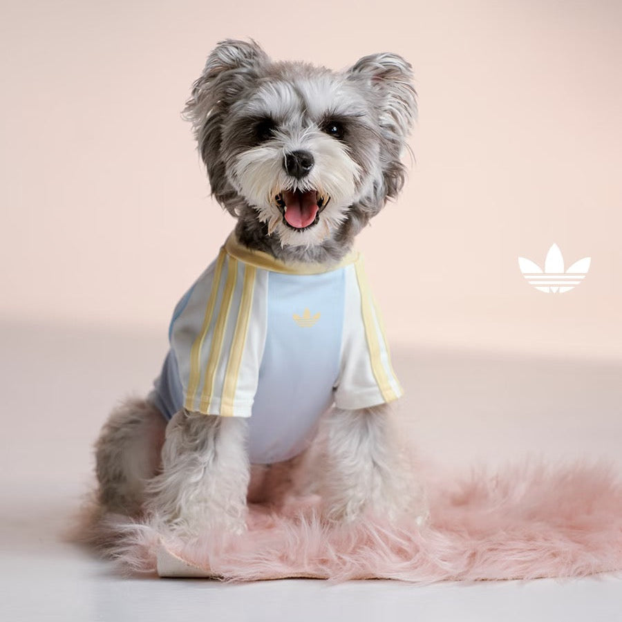 Adidas Raglan Sleeve Pet Tee (Blue)