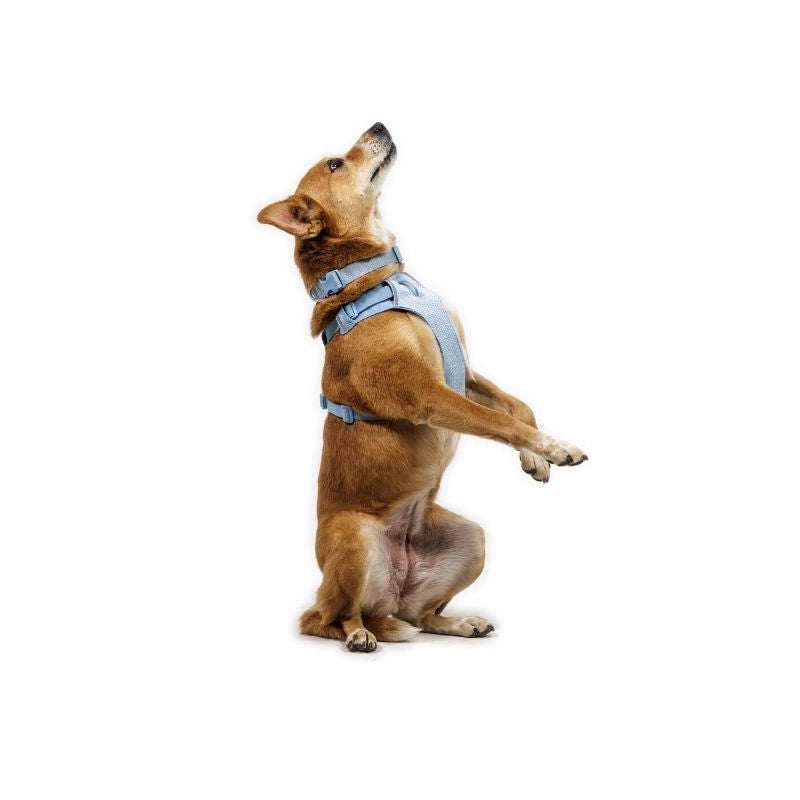 Front Range® Flex No-Pull Dog Knit Harness (4 Colours)