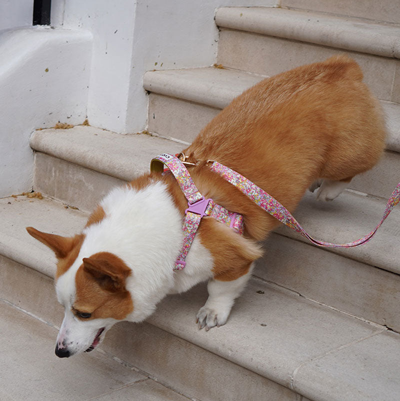 No-Pull Harness | Flora
