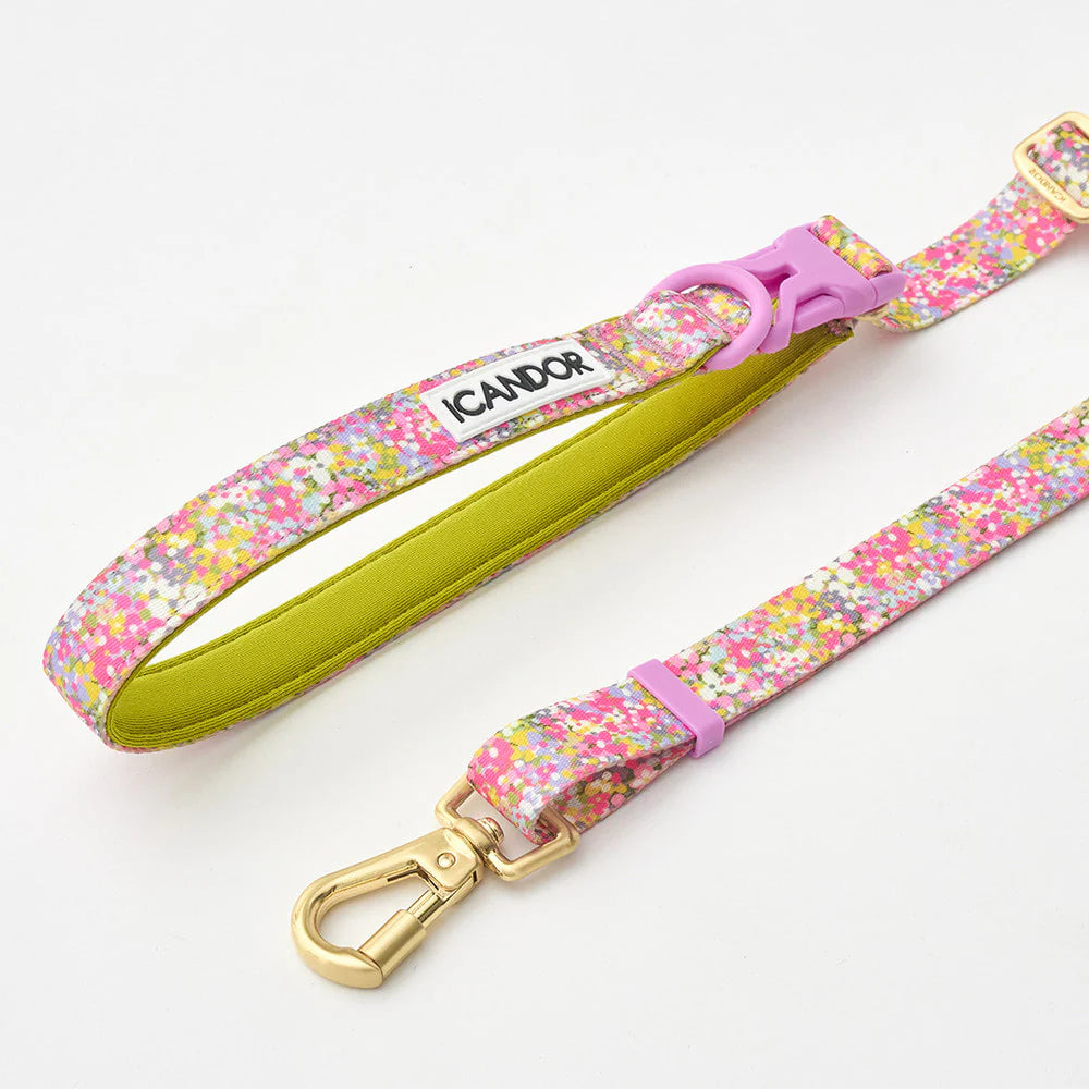 [ PREORDER ] Gentle Multi-Functional Adjustable Bolt Leash – Regular & Hands-Free Walk | Flora
