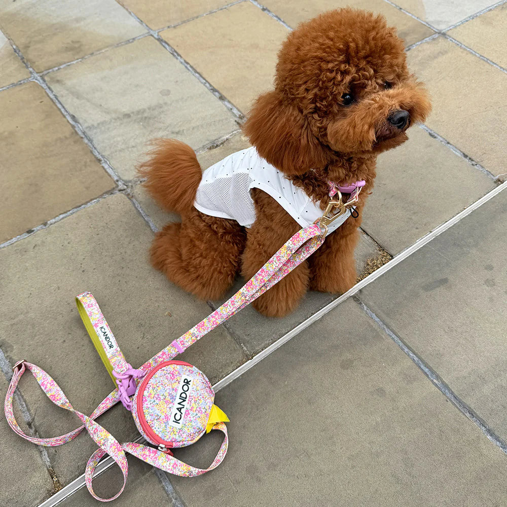 [ PREORDER ] Gentle Multi-Functional Adjustable Bolt Leash – Regular & Hands-Free Walk | Flora