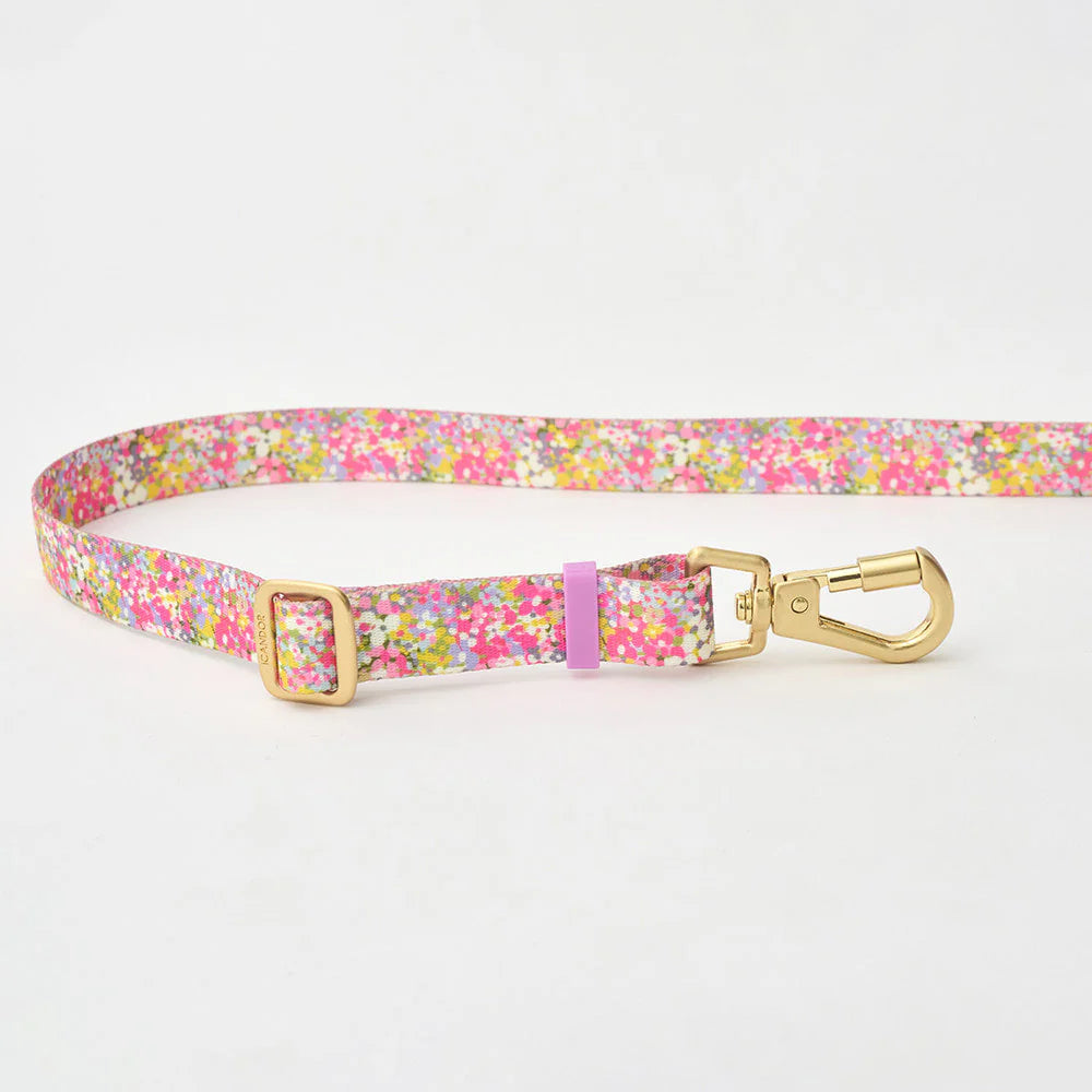 [ PREORDER ] Gentle Multi-Functional Adjustable Bolt Leash – Regular & Hands-Free Walk | Flora