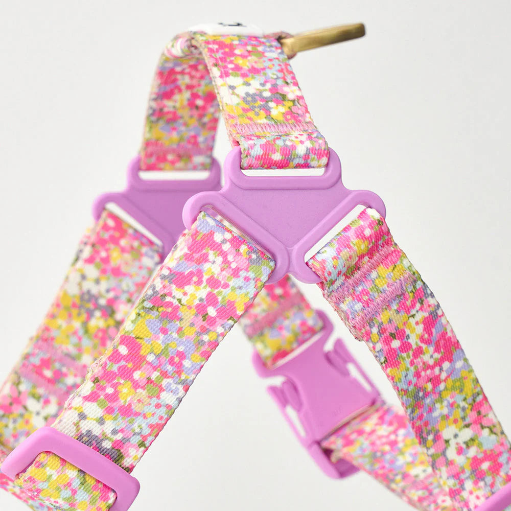 No-Pull Harness | Flora