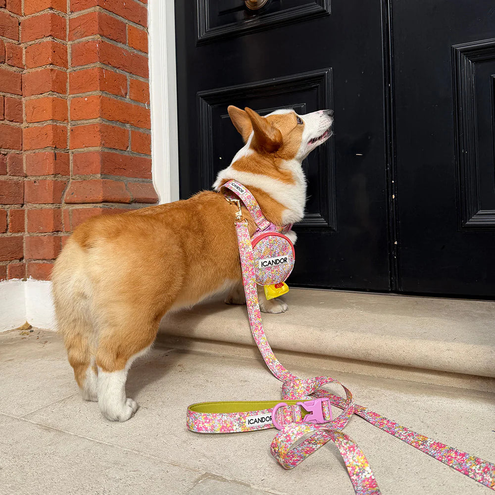 No-Pull Harness | Flora
