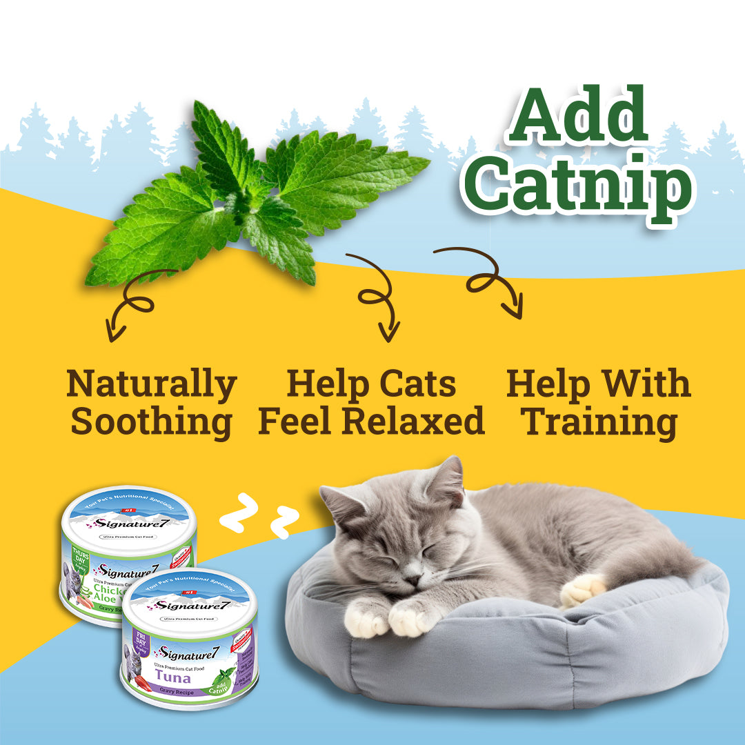 Chicken with Baby corn in gravy added Catnip Cat Wet Can Food (70g)