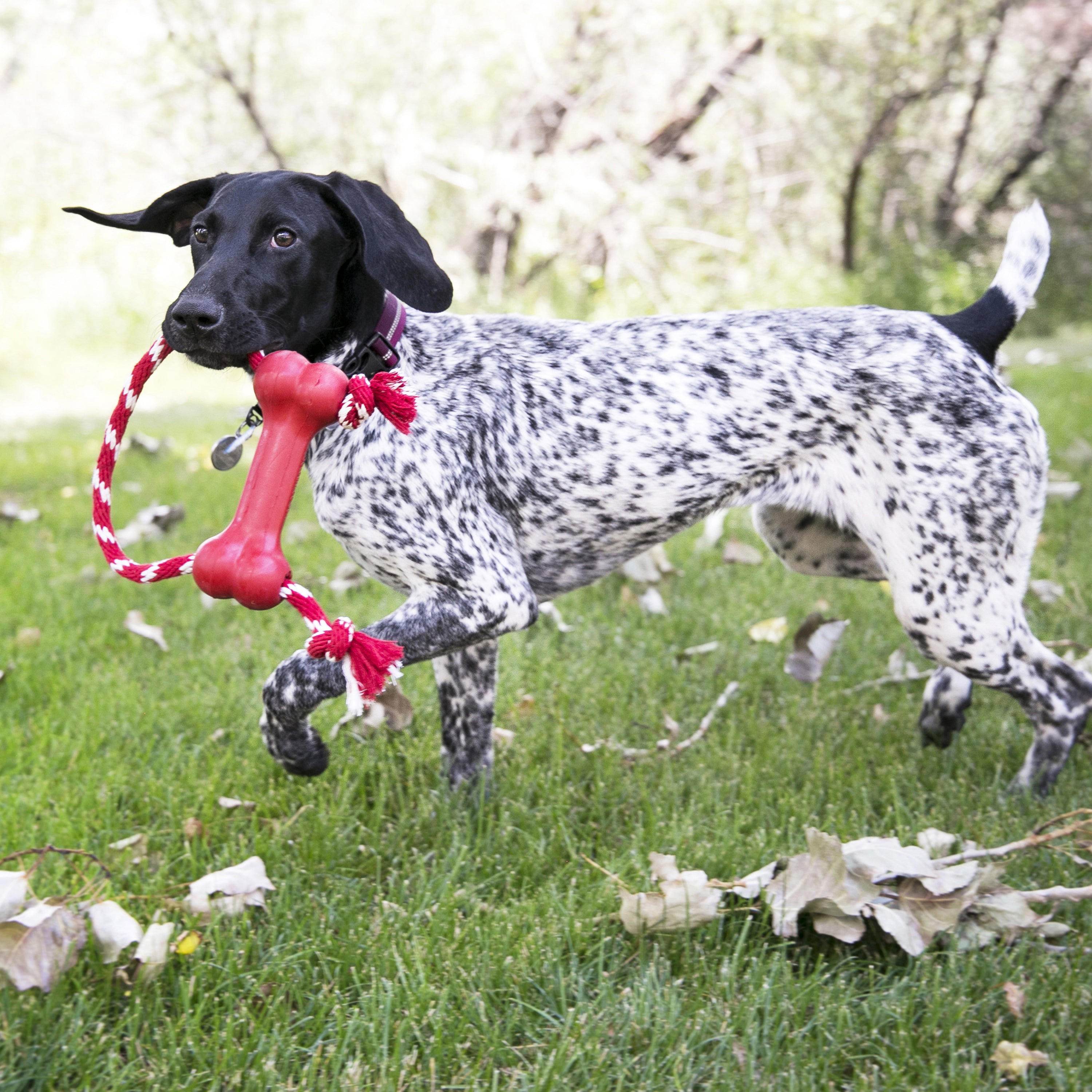 Goodie Bone™ with Rope