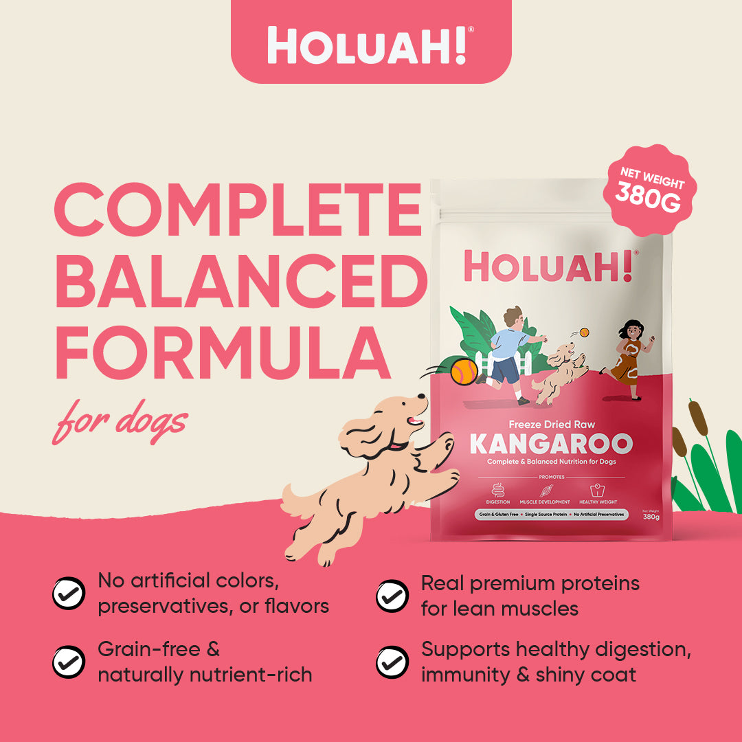Freeze Dried Kangaroo Dog Food (380g)