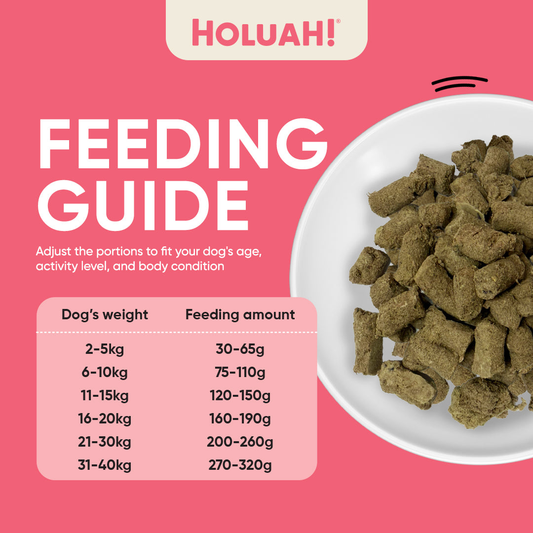 Freeze Dried Kangaroo Dog Food (380g)