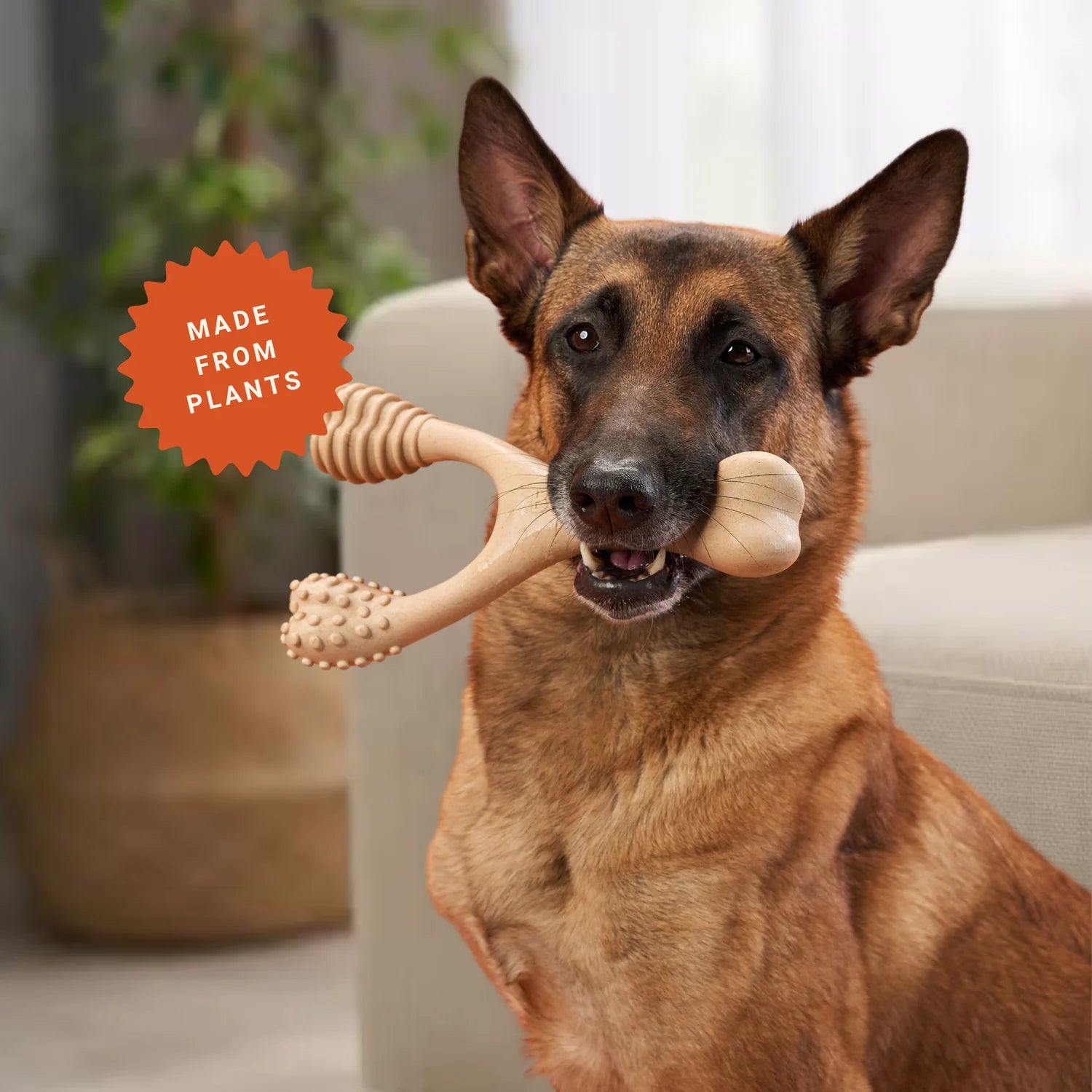 BetterBone Natural Dog Chew Toy