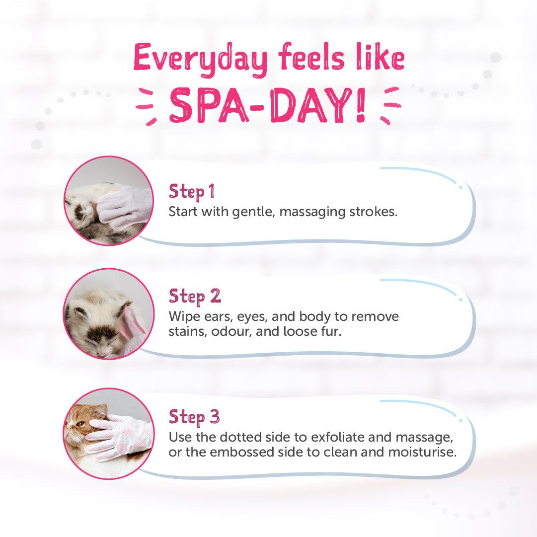 Clean-A-Cat Stress-Free Pet Grooming Gloves (Cactus)