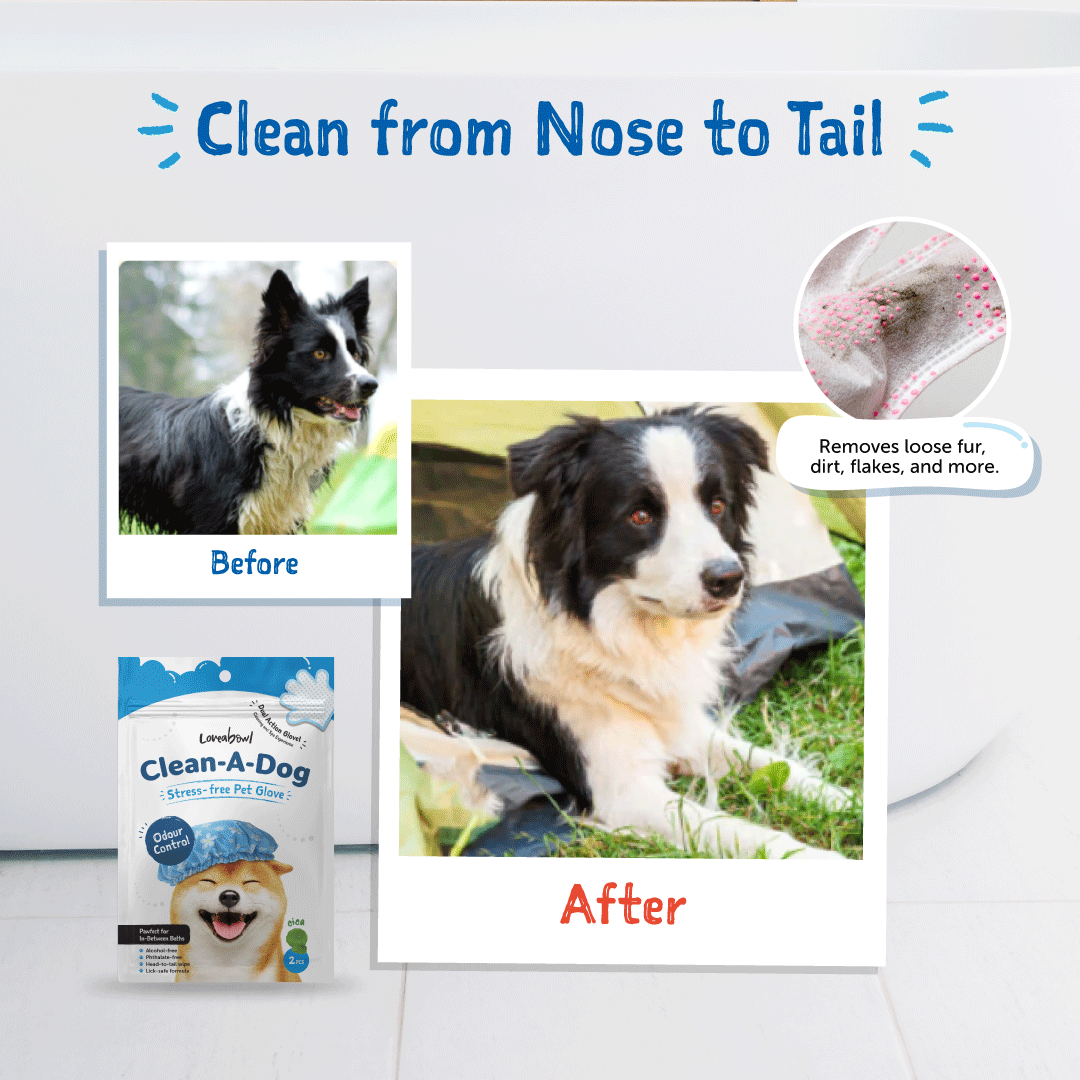 Clean-A-Dog Stress-Free Pet Grooming Gloves (Cherry Blossom)