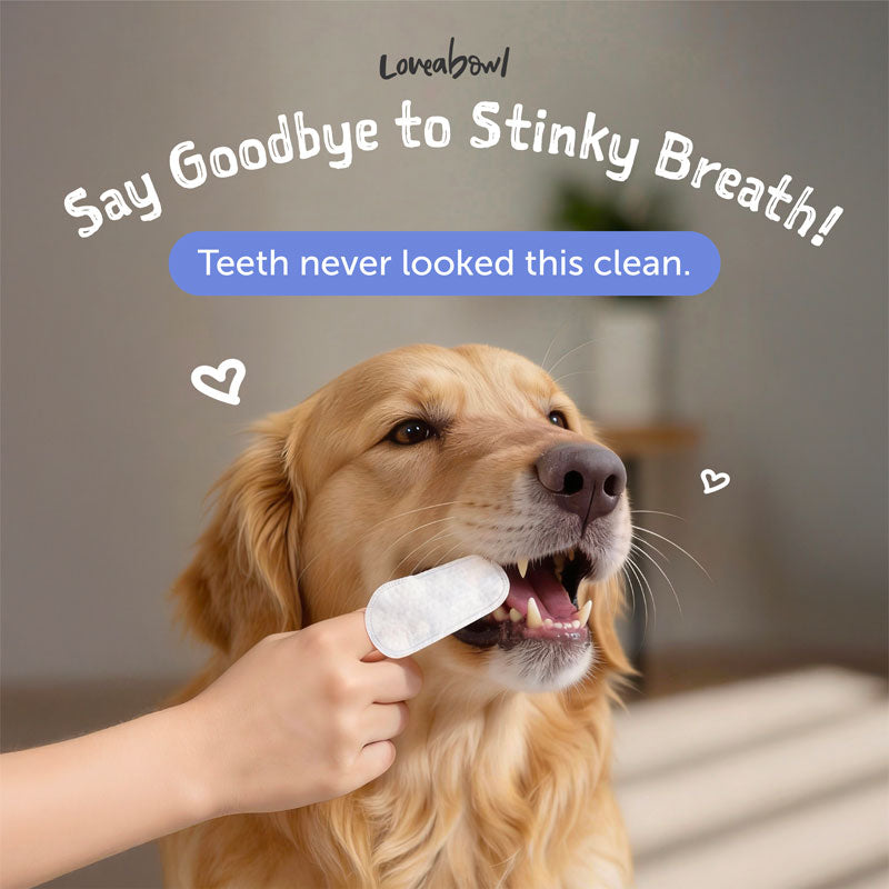 Clean-A-Tooth Dog Dental Cleaning Wipes (50 pcs)