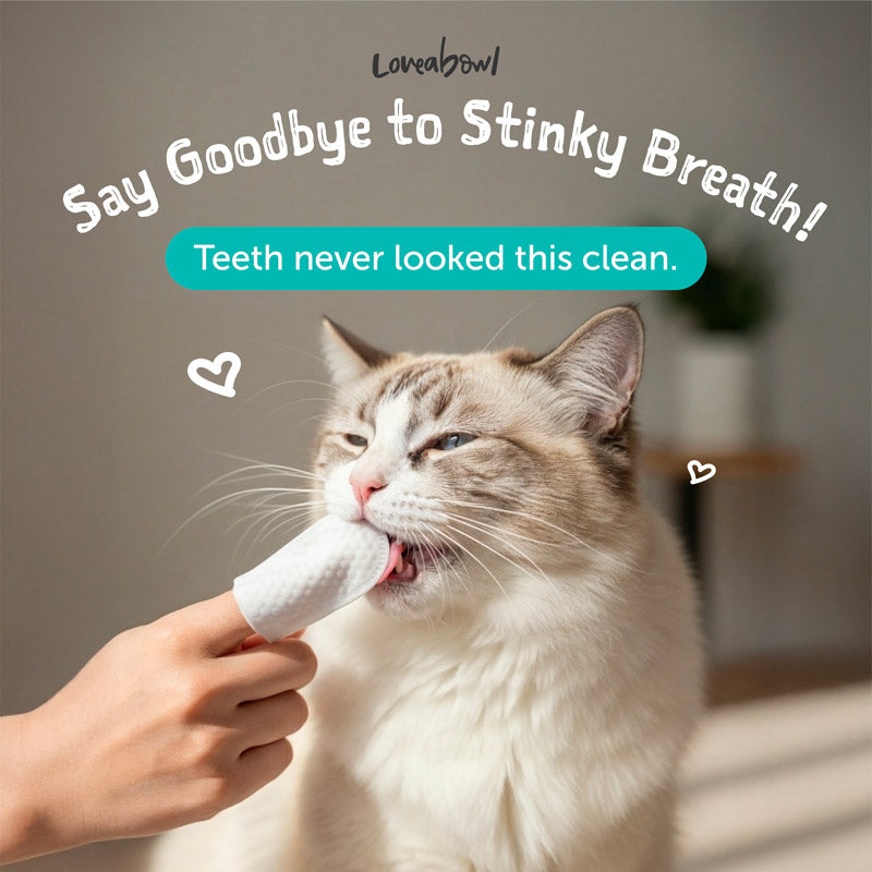 Clean-A-Tooth Cat Dental Cleaning Wipes (50 pcs)