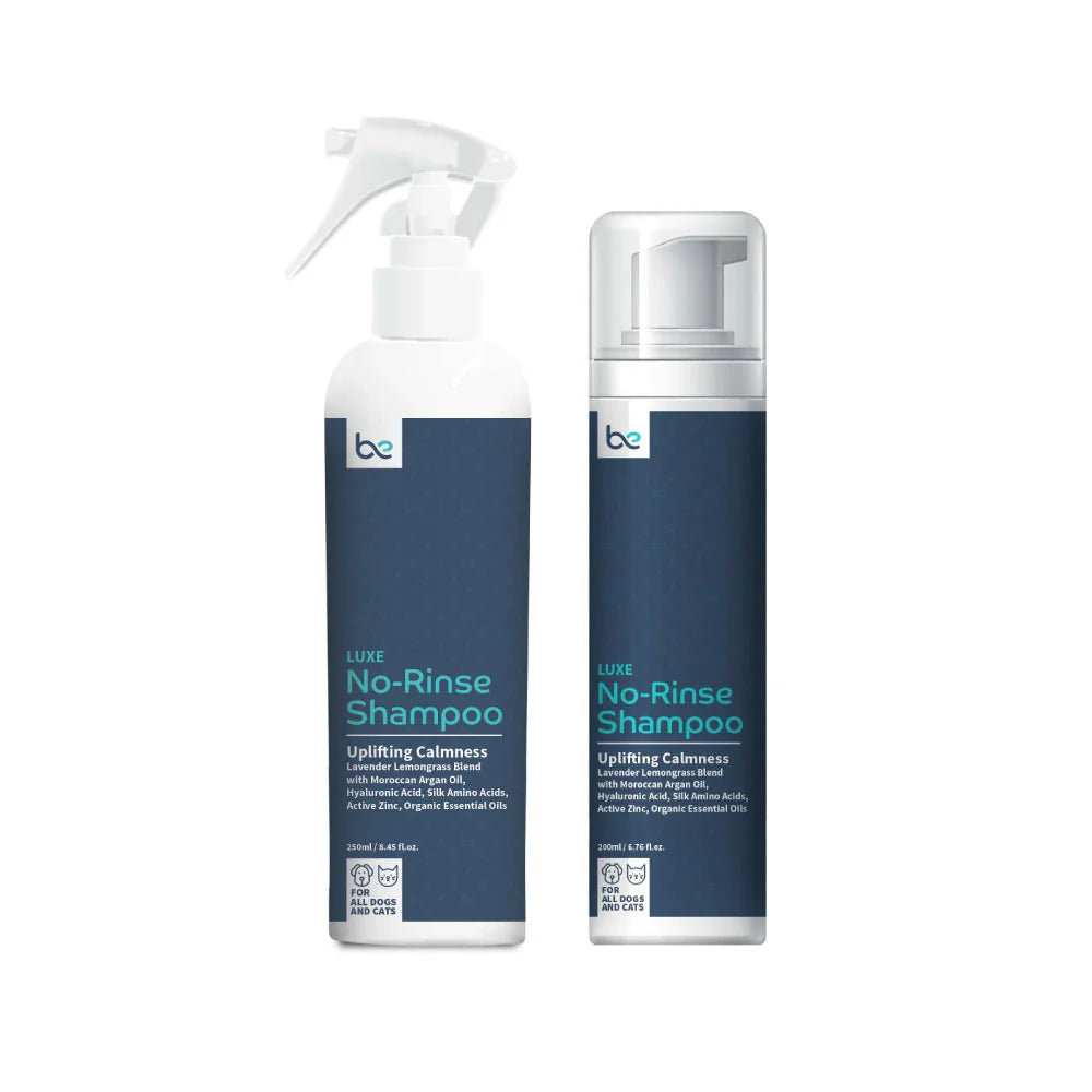 Beyond Clean LUXE No-Rinse Shampoo (Spray / Foam)