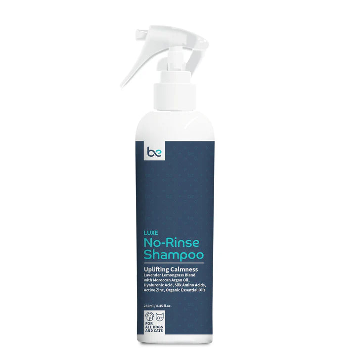Beyond Clean LUXE No-Rinse Shampoo (Spray / Foam)