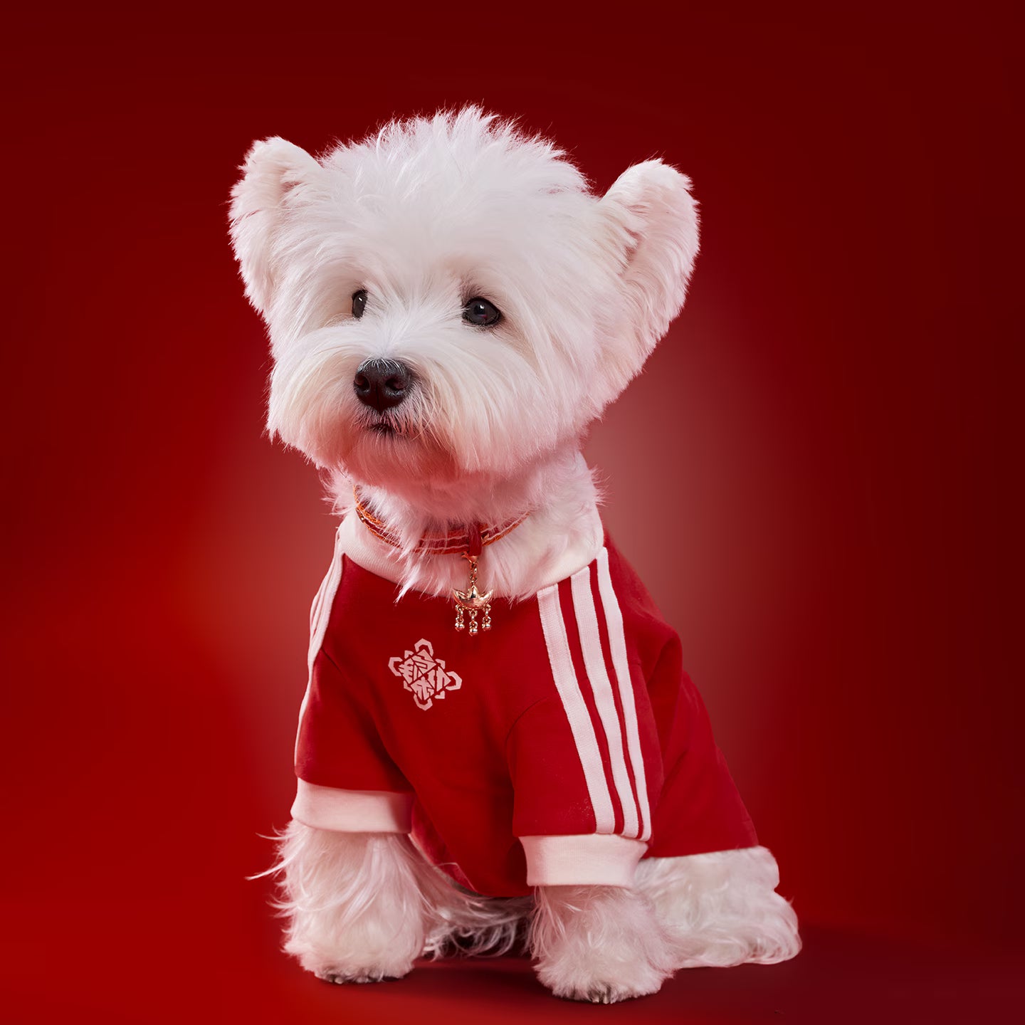 [ Preorder New Year Edition ] Adidas Originals Pet T-Shirt
