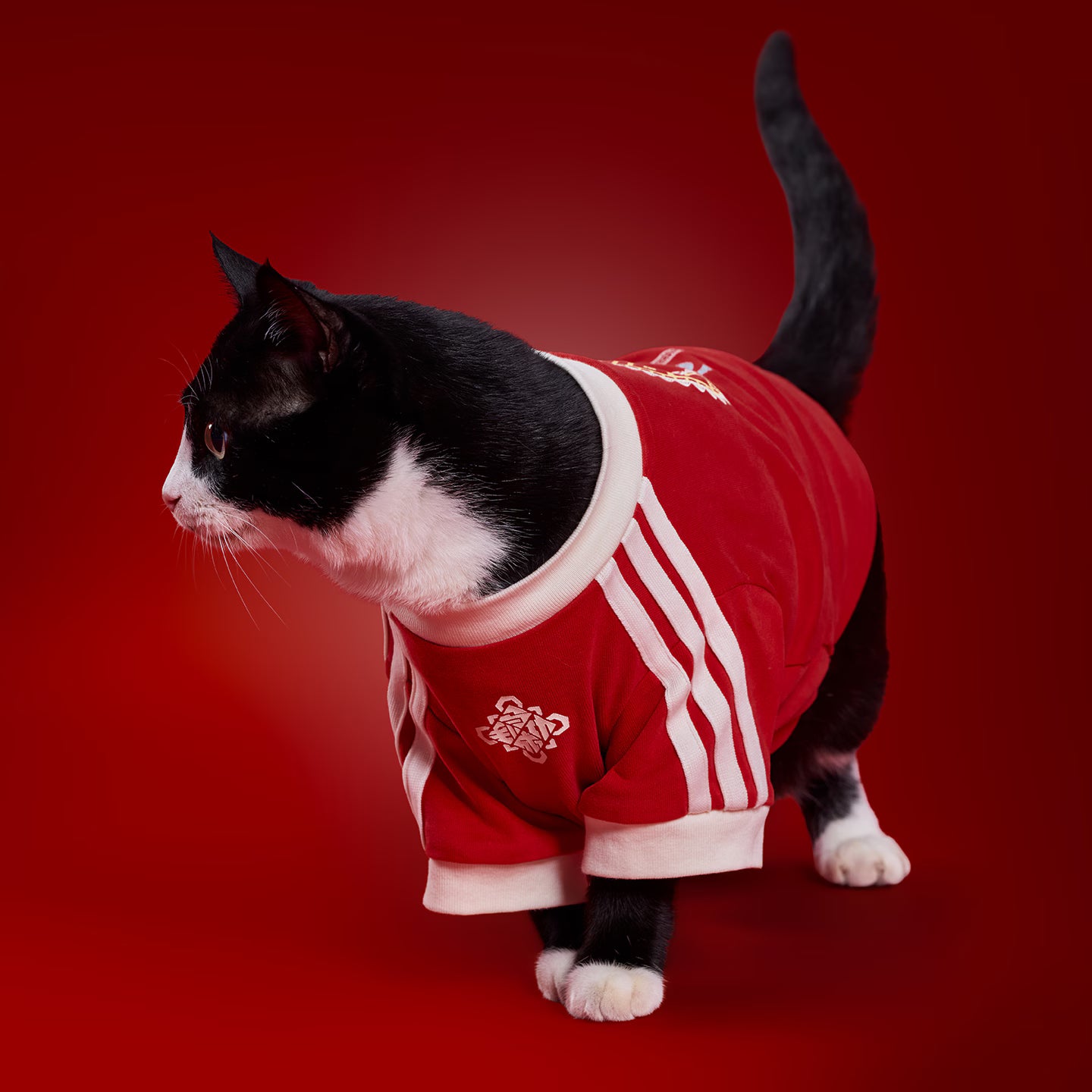 [ Preorder New Year Edition ] Adidas Originals Pet T-Shirt