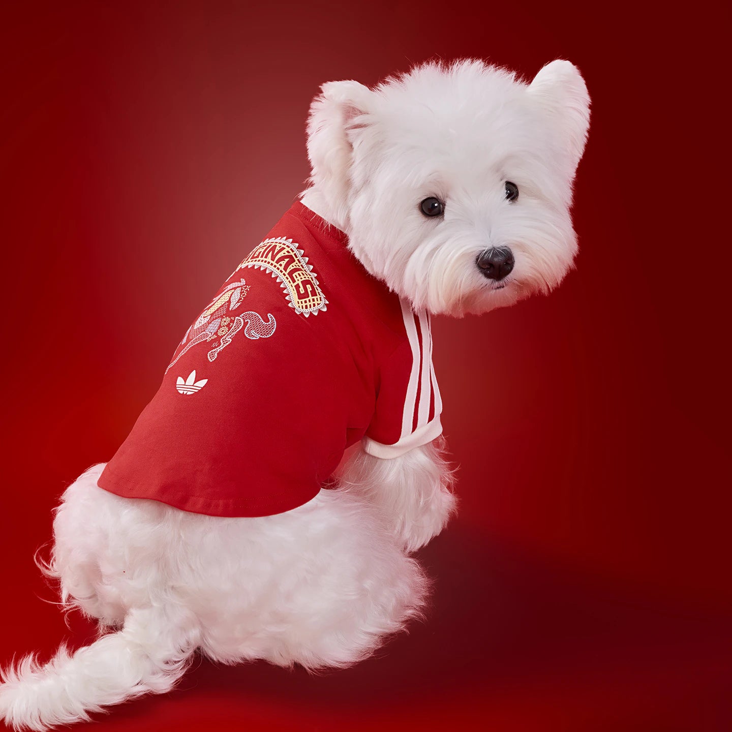 [ Preorder New Year Edition ] Adidas Originals Pet T-Shirt