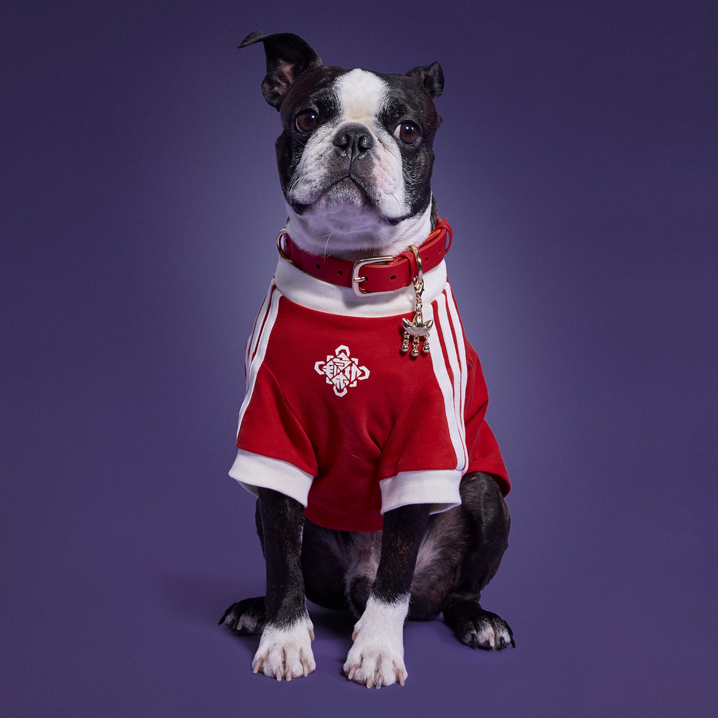 [ Preorder New Year Edition ] Adidas Originals Pet T-Shirt