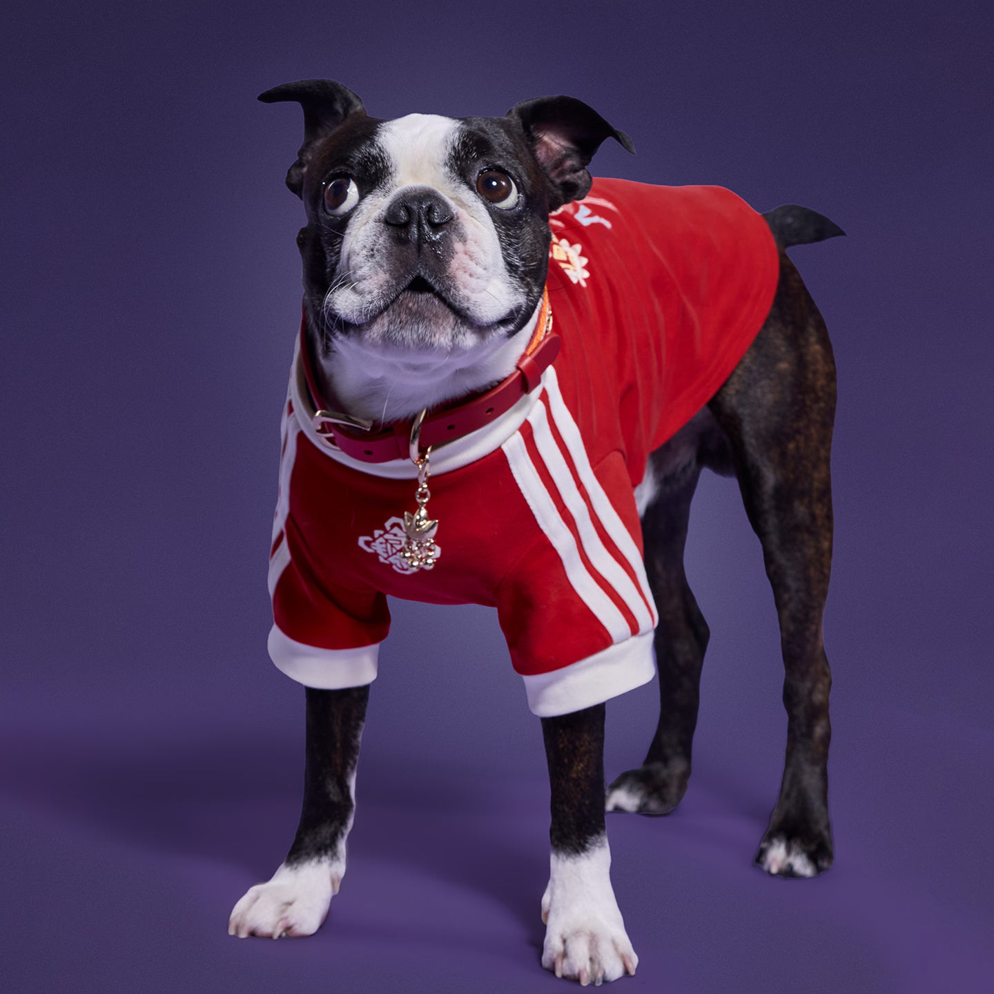 [ Preorder New Year Edition ] Adidas Originals Pet T-Shirt