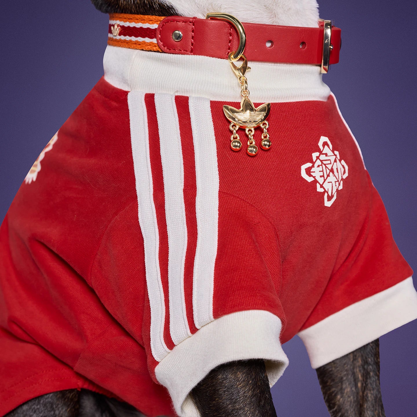 [ Preorder New Year Edition ] Adidas Originals Pet T-Shirt