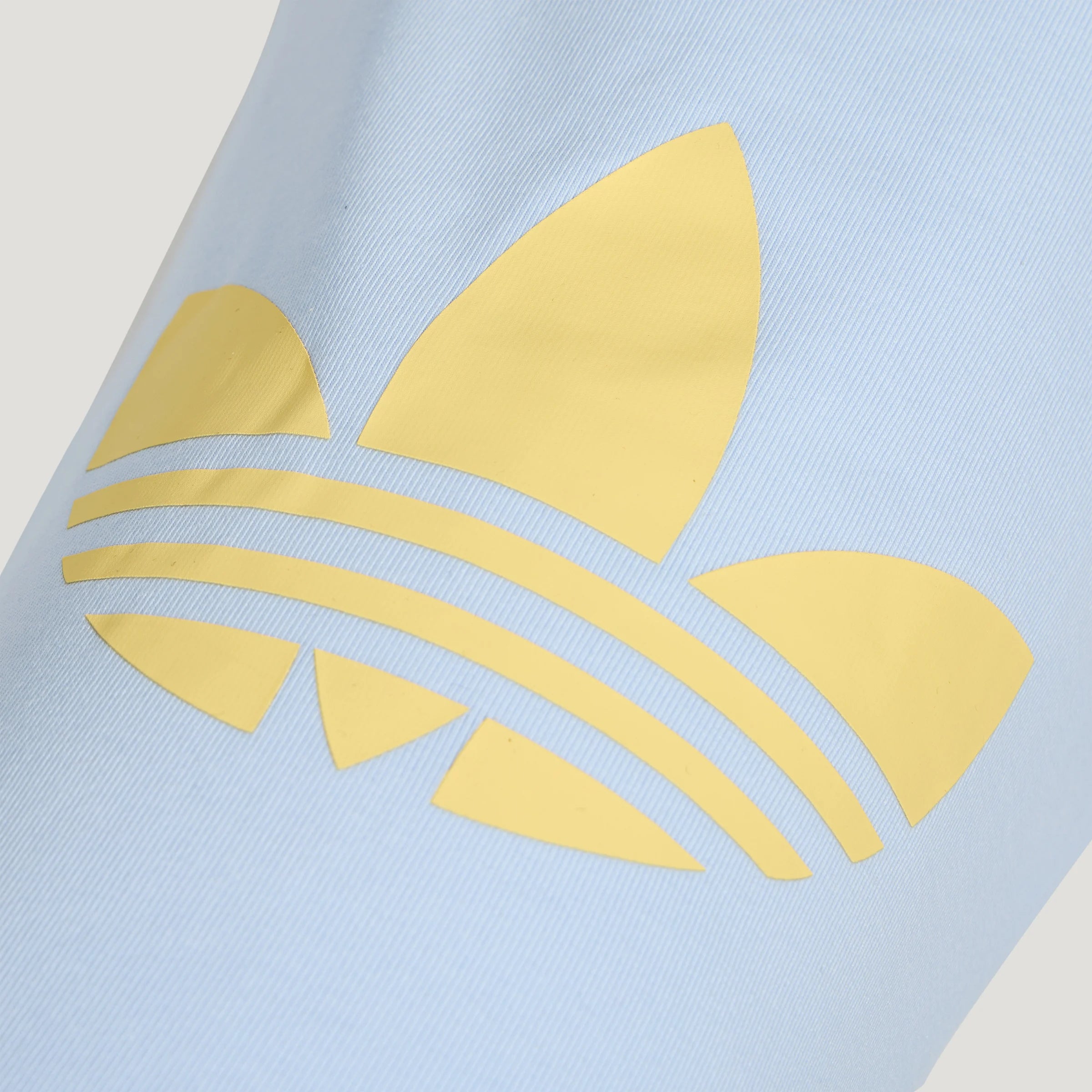 Adidas Raglan Sleeve Pet Tee (Blue)