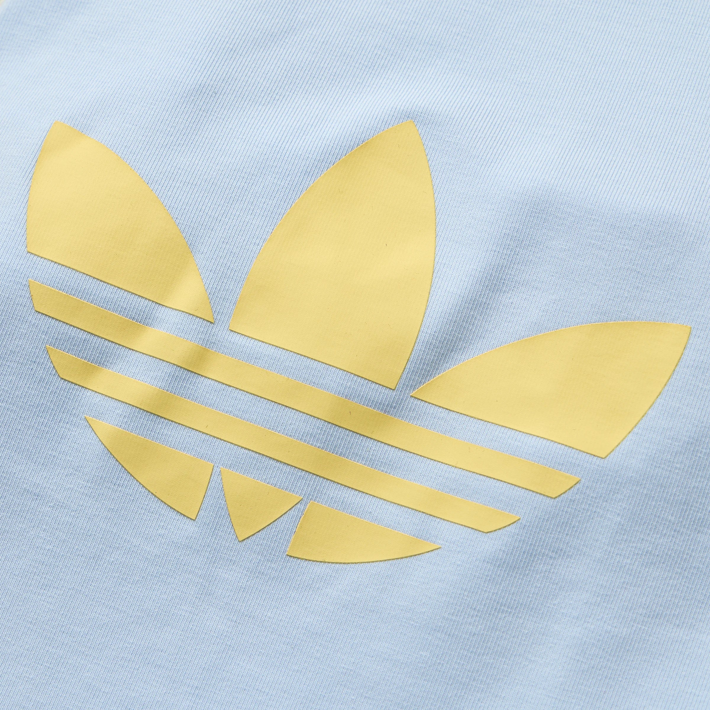Adidas Raglan Sleeve Pet Tee (Blue)