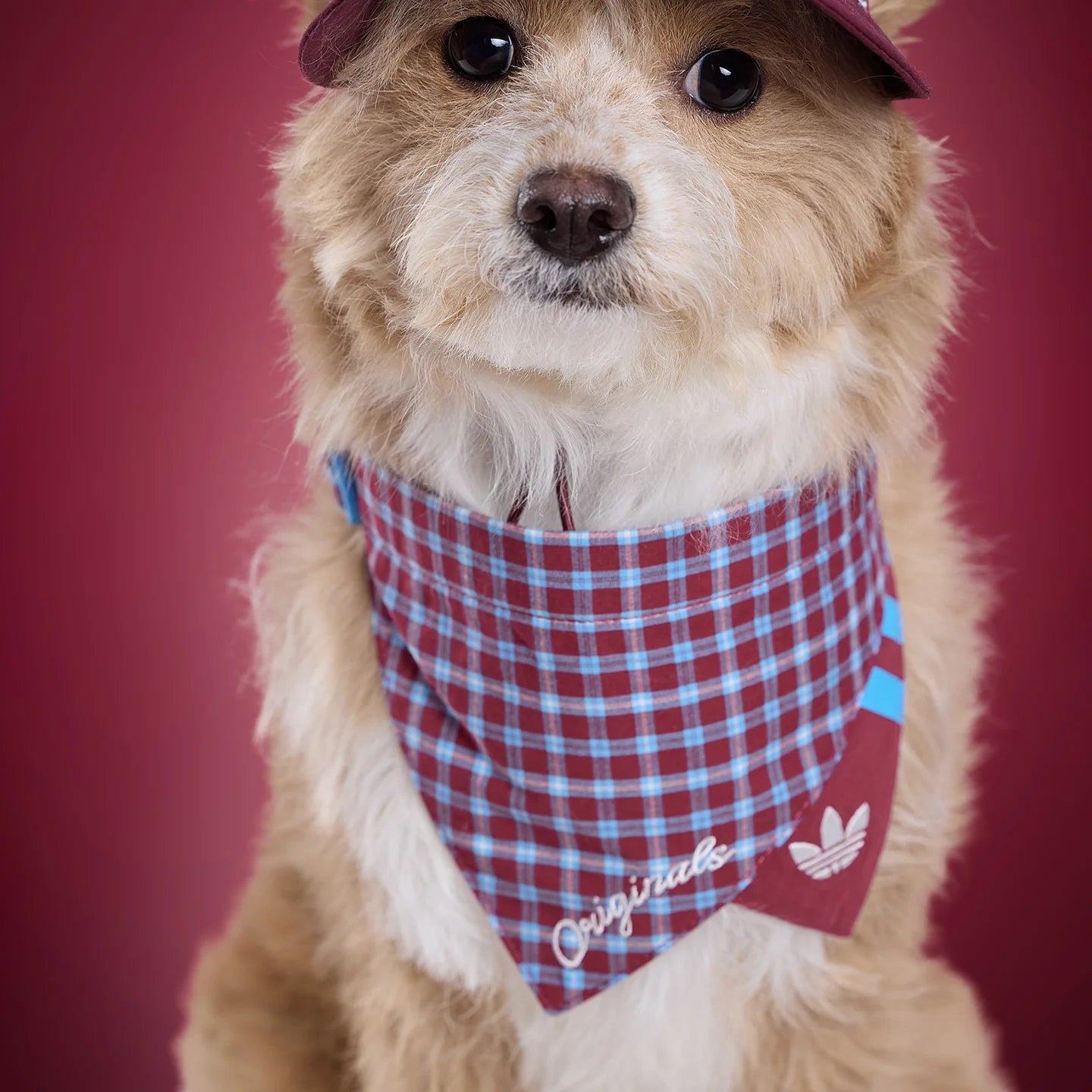Adidas Pet Plaid Bib (Burgundy)